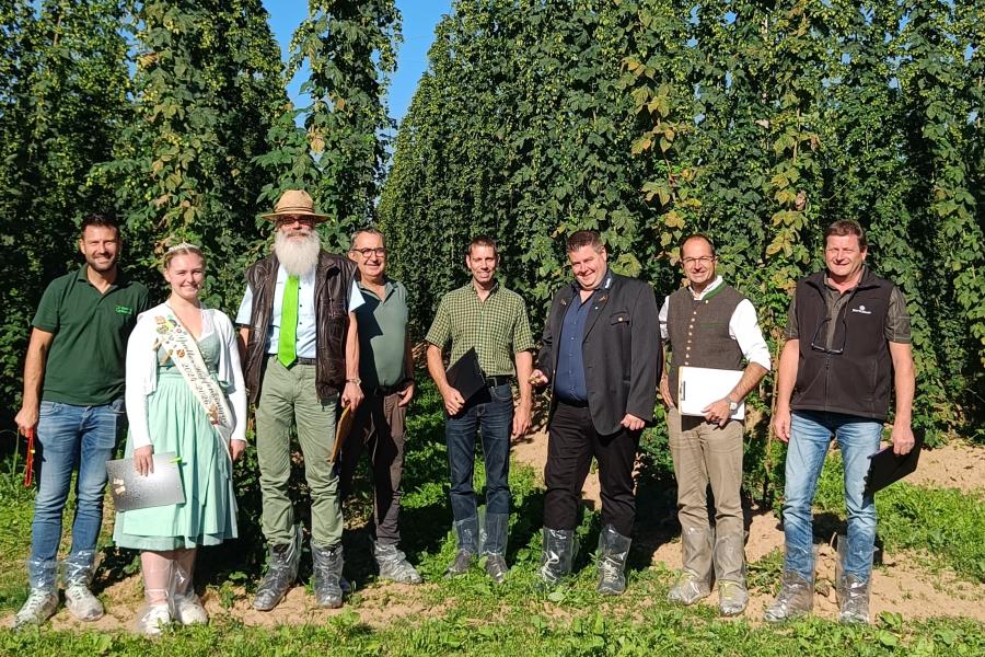 Hopfenernteschätzung Spalt Ernte 2025