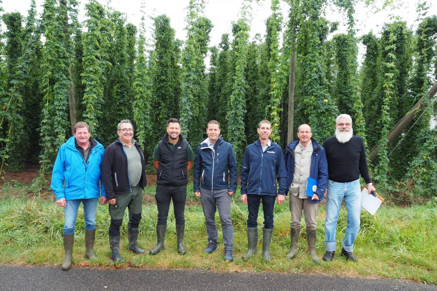 Hopfenernteschätzung Spalt Ernte 2024